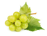 Cluster of white grapes with leaves 