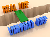 Two phrases REAL LIFE and VIRTUAL LIFE united by bridge through separation crack.