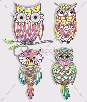 Set of cute colorful owls