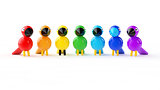 rainbow colored birds  on white background