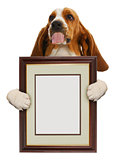dog holding picture frame