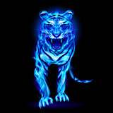 Blue fire tiger.