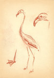 flamingo hand drawing sepia sketch