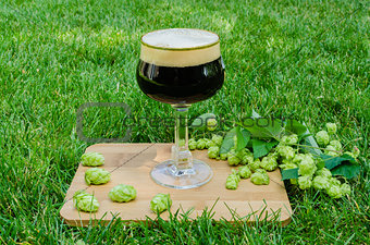 Dark beer with hops on grass