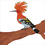 Bird hoopoe vector illustration
