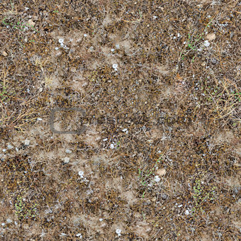 Seamless Texture of  Prairie Soils.