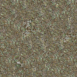 Seamless Texture of Steppe Soil.