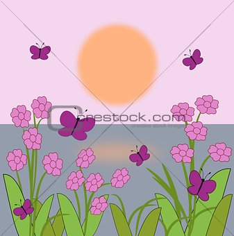 Flowers and Butterflies  in the Sunrise