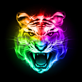 Head of tiger in colorful fire.