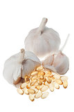 Garlic oil soft capsule