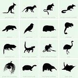 Animal of Australia icons