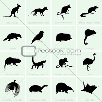 Animal of Australia icons
