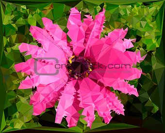 pink flower graphic illustration