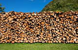 Pile of Chopped Firewood on Blue Sky