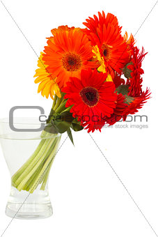 gerbera flowers posy  in vase