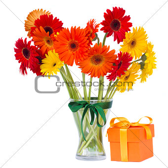 gerbera flowers in vase with gift box