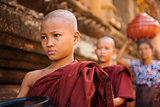 Southeast Asian young Buddhist monks walking morning alms