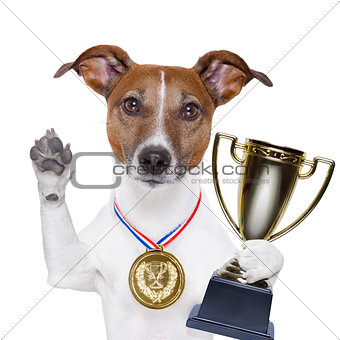 winner dog 