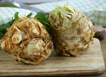 fresh organic celery root with green leaves