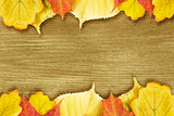 Different autumn leaves opn gold wood plank