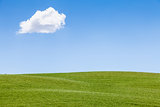 Green field in Tuscany