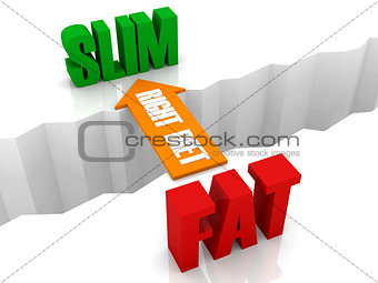 Right diet is the bridge from FAT to SLIM.