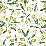 olive seamless pattern green fruits grunge leaves vector illustration