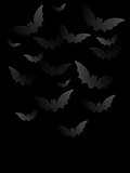 Vector - Halloween Bat Black Paper Background