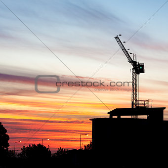 Crane Sillhouette at Sunset
