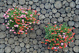 flowers on the wood background