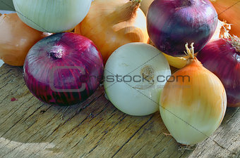 Onions different types, sizes and colors
