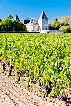 vineyard and Chateau Tronquoy Lalande, Saint-Estephe, Bordeaux R