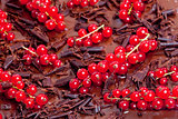 red currant with chocolate