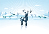 deer to winter