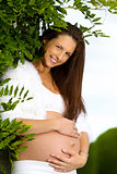 Pregnant woman holding belly under a tree leaves