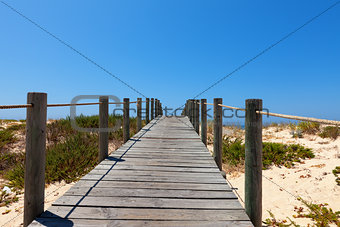 Boardwalk protecting a fragile dune ecosystem