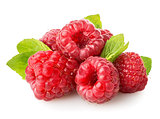 Juicy raspberry