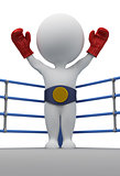 3d small people - boxer the champion