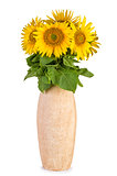 Sunflowers in ceramic vase