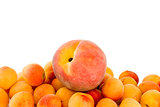 Red peach over the pile of apricots