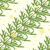 Seamless pattern with fir branches