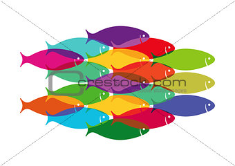 Colourful Fish Shoal
