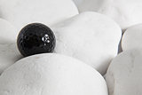 Black golf ball and white stones