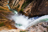 The famous Lower Falls in Yellowstone National Park