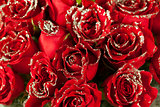 Red rose flowers with water drops