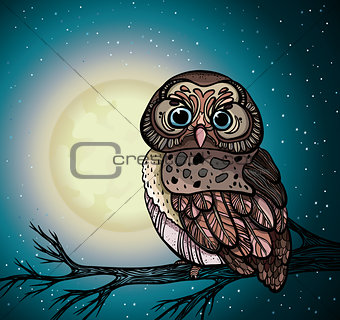 Cartoon owl and full moon.