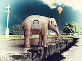 elephant -house on the road