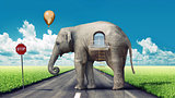 elephant-house on the road