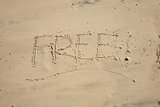 free on sand beach