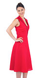 Happy elegant brunette in red dress posing